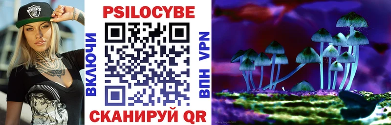 Псилоцибиновые грибы Magic Shrooms купить закладку Карабаново